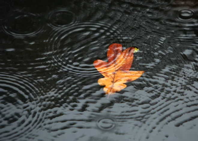 В пятницу температура воздуха местами не превысит +15 градусов