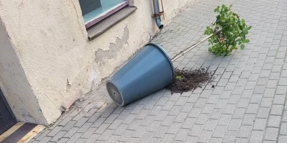 Tukumā naktī uz ceturtdienu bija uzradies kāds smukuma nīdējs, kurš izspārdīja un apgāza puķupodus pilsētas centrā.