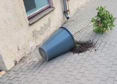 Zaudētais Tukuma smukums, Ziemeļkurzemes motodžigiti un Liepājas “superēdiens”: kriminālā province