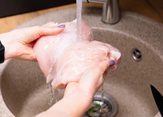 Šis jautājums nodarbina daudzus latviešus: gaļu mazgāt vai nemazgāt?