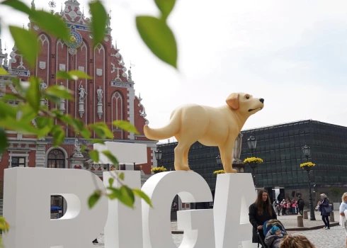 Vides objekts "Rīga" ar režisora Ginta Zilbaloža veidotās animācijas filmas "Straume" varoni suni Rātslaukumā.