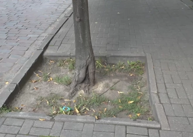 Вместо клумб - ловушки: женщина сломала руку на улице Гертрудес, пришлось делать операцию