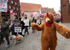 Шествие активистов за права кур.