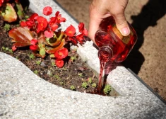 Ilustratīvs attēls.