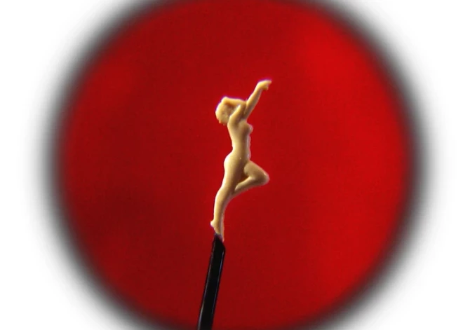 В Елгаве открывается уникальная выставка микроминиатюр "Восьмое чудо света"