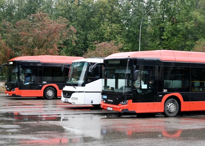 Совет по конкуренции проверяет перевозчиков после акции протеста: под ударом оказались 165 рейсов и 5000 пассажиров