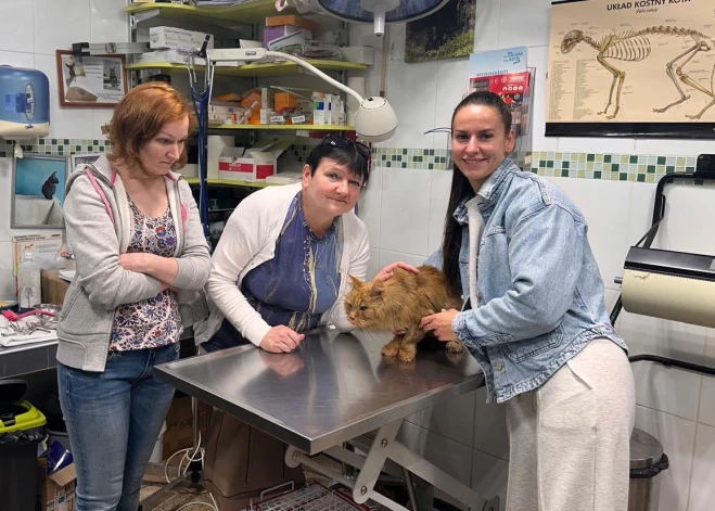 Valsts policijas izglābtais runcis ticis pie vārda un jaunām saimniecēm.