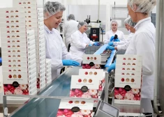 Ilustratīvs attēls.