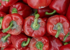 Pircēji sūdzas arvien biežāk: veikalos nonāk bojāti dārzeņi