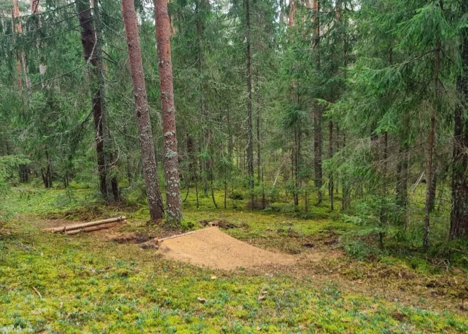 Gaujas Nacionālajā parkā kāds nelikumīgi ierīkojis kalnu nobraucienu trasi