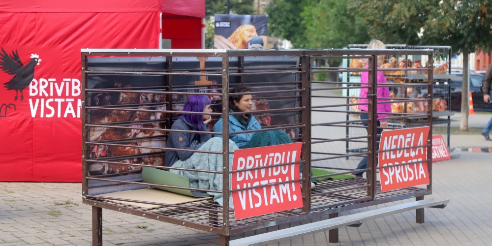 Akcija "Nedēļa sprostā" pie Saeimas ēkas (foto: Rojs Maizītis)