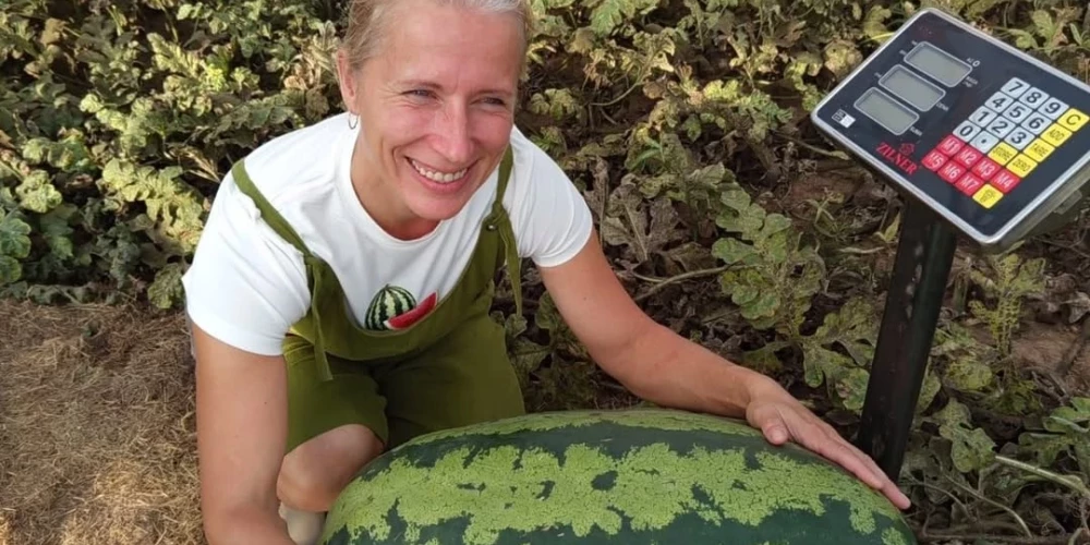 Lāsmai Kadiķei izdevies izaudzēt 45.54 kg smagu arbūzu.