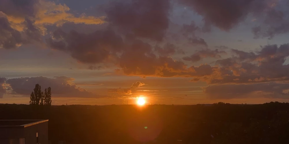 Rēzijas mamma Daiva norāda, ka meitai dažos roku pirkstiņos ir kāda neliela jutība, bet tie nekustas.
