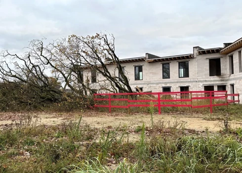 За спиленный в Марупе дуб (на фото) выставлен огромный счет.