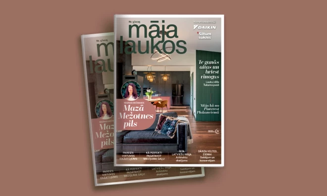 Publicitātes foto