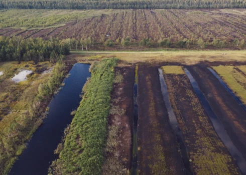 Vilku Tīrelis, Bauskas novads