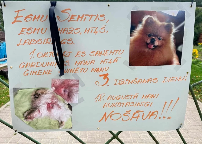  Jēkabpilī noslēgusies kluso plakātu akcija, kurā tika pieminēti mājas mīluļi, kurus tuvējā apkārtnē noslepkavoja kāds neģēlis.