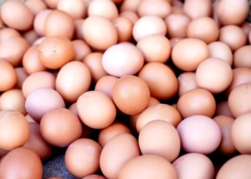 Цена упаковки яиц для потребителей может снизиться примерно на 20–30 центов.