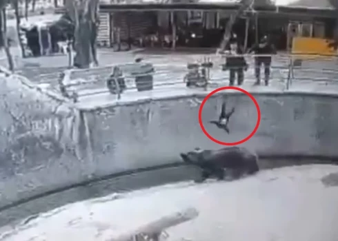 В 2022 году женщина на глазах старшего сына подняла дочь над оградой вольера медведя и разжала руки. Девочка упала в ров с пятиметровой высоты.