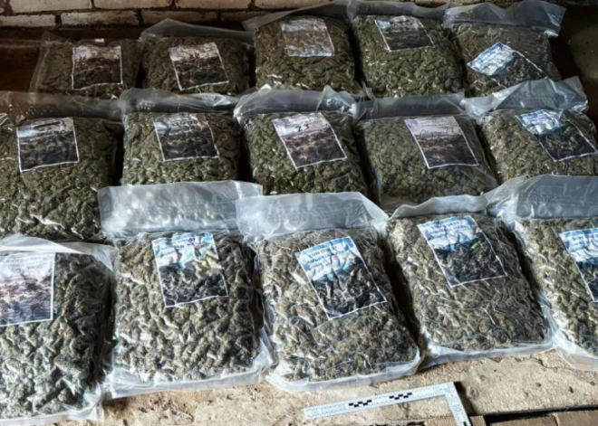 36 кг марихуаны и 62 000 евро: удачный "улов" полиции в Даугавпилсе