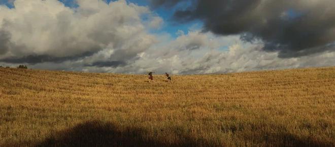 Filma “Tā ir tikai ideja”. 