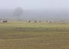 Latvijā gaidāma tipiski rudenīga diena