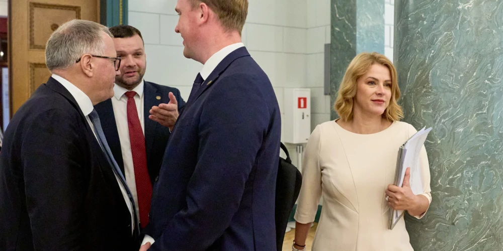 Stambulas konvencija izmantota citiem mērķiem, nevis vardarbības mazināšanai, brīdina ZZS.