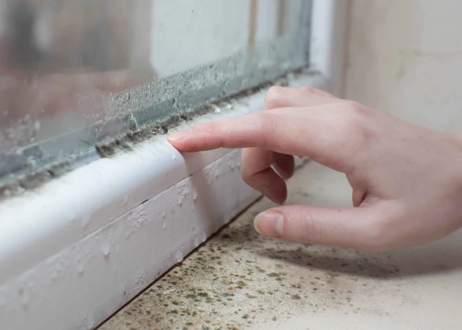 Ar kādām metodēm uzveikt pelējuma sēnīti?