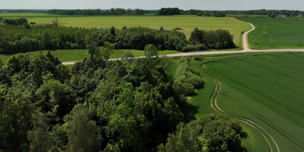 Ilustratīvs attēls.