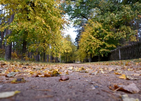 В Латвии прогнозируется влажный и теплый октябрь.