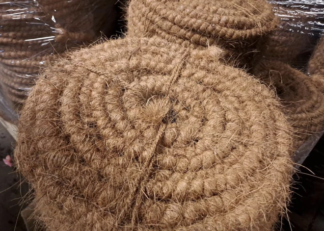 FOTO: Nodrošinājuma valsts aģentūra.