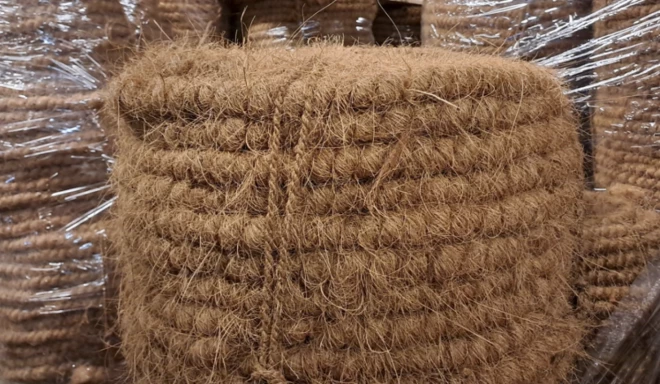 FOTO: Nodrošinājuma valsts aģentūra.