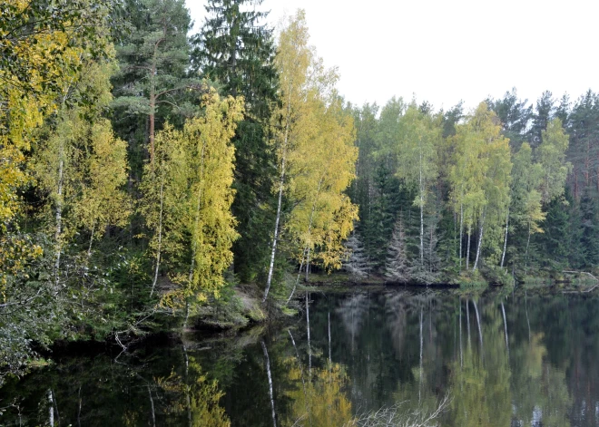 В четверг снова будет сухо, но температура воздуха не превысит +12