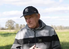 VIDEO: biškopim Andim lāči iznīcinājuši jau 260 stropus. "Viņš atnāk, padara savu darbu un aiziet!"