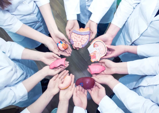 Жителям Латвии объяснили, почему они должны завещать свои органы для трансплантации, а тела - для науки