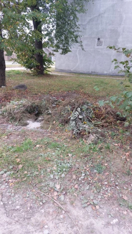 Jēkabpilī privātmāju saimnieku komposta kaudzi izveidojuši pašā pilsētas centrā.