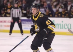Arī Dans Ločmelis un Raivis Ansons neturpina cīņu par vietu NHL komandās