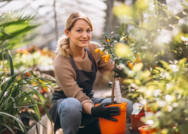 Uzticamie un multifunkcionālie Parkside dārza instrumenti: kā izvēlēties piemērotākos?