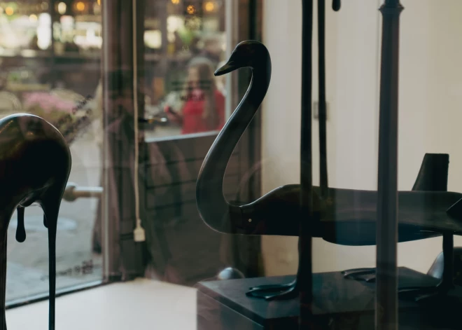 Черный лебедь как символ войны и разрушения: в галерее Театра Чехова - новая экспозиция