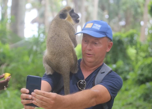 Bidžilo mežā mērkaķi kāpj uz pleciem un pat galvas – ja atlīdzībā par fotosesiju ir rieksti un banāni.