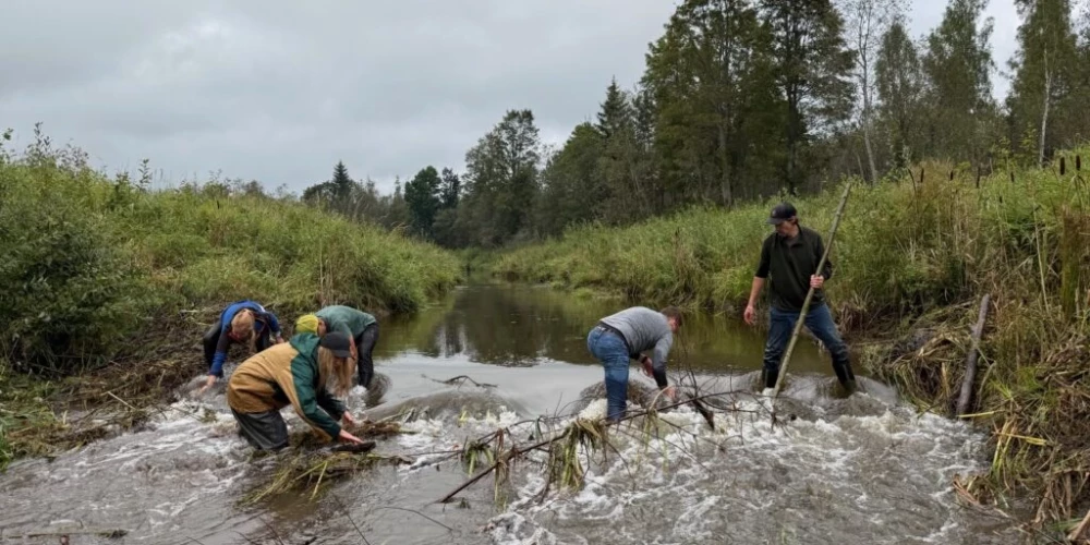 Pārgājiena un talkas dalībnieki darbībā (foto: Alūksniešiem.lv)