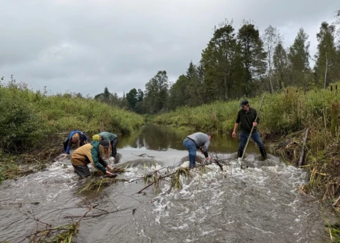 Pārgājiena un talkas dalībnieki darbībā (foto: Alūksniešiem.lv)
