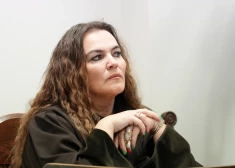 Skandalozās aizturēšanas lieta: advokāti Inesi Šulti tur aizdomās par piespiešanu neliecināt apjomīgā nelegālo cigarešu lietā