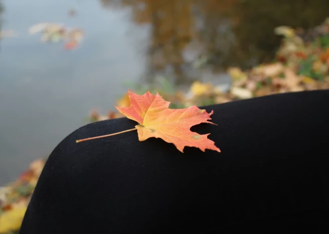 В понедельник воздух в Латвии прогреется до +15 градусов