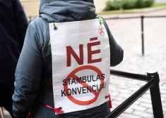 Стамбульская конвенция расколола коалицию - неужели последует смена правительства?