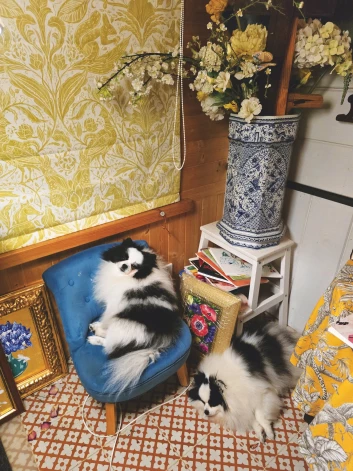 Kristīnes Luīzes Avotiņas špici. Foto: no privātā arhīva