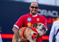 Lūiss Hamiltons sērās par suni saņem "Formula 1" pasaules atbalstu