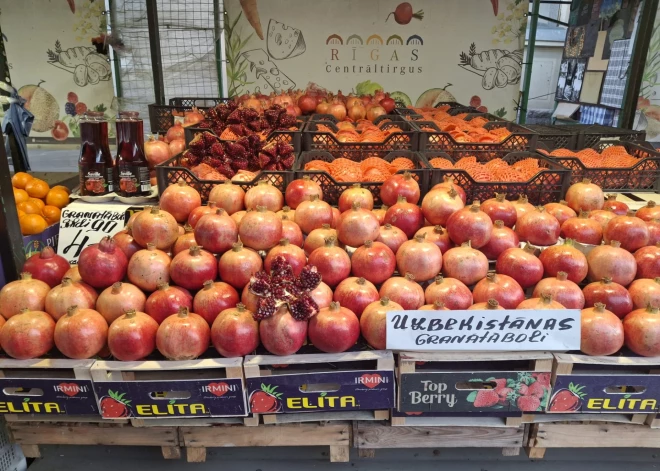 Осень на Центральном рынке: цены, ароматы и главные продукты сезона