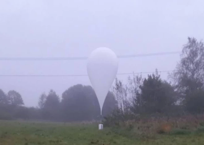 Сигареты на воздушном шаре: в Латвии обнаружена масштабная контрабанда