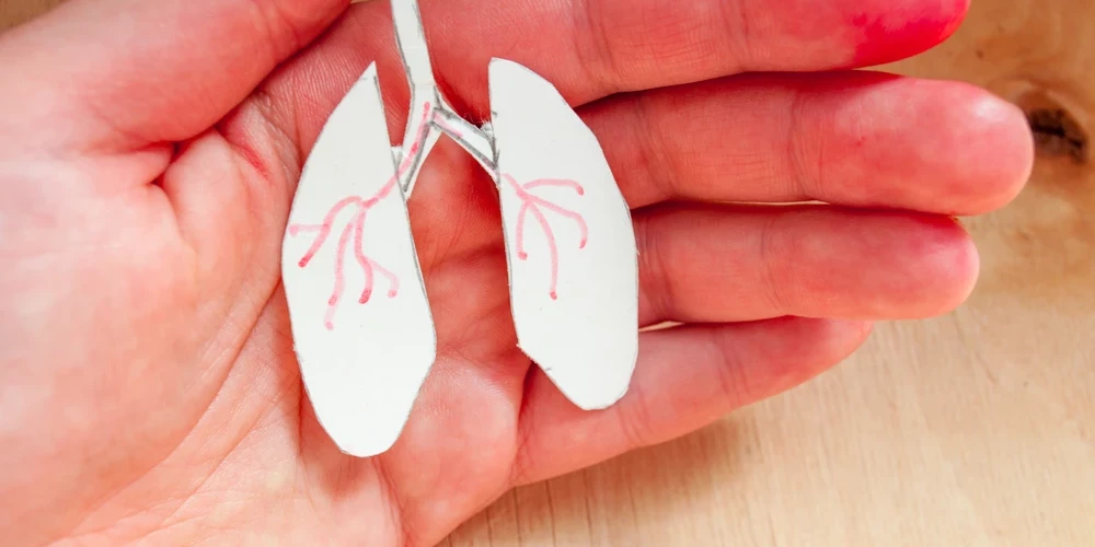 В Латвии болезнь чаще всего поражает легкие и лимфатические узлы, но не исключено поражение и других органов.